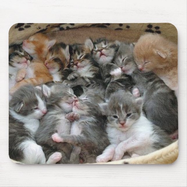 Sleeping Kittens Mouse Mat (Front)