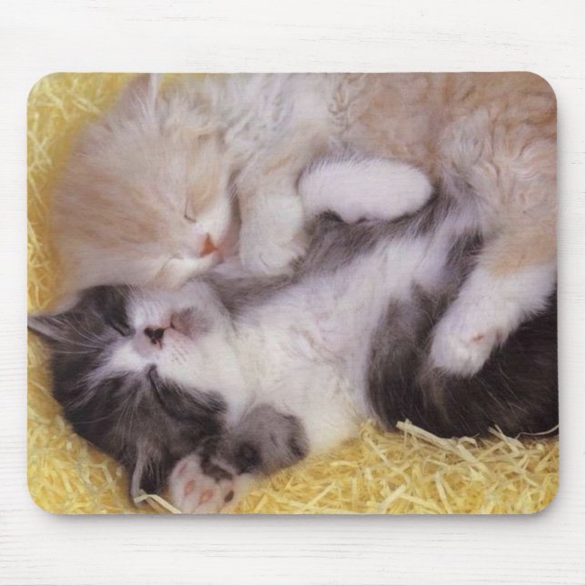 Sleeping Kittens Mouse Mat (Front)