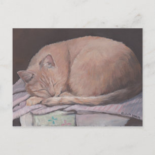 Sleeping Kitty Cat Art Postcard