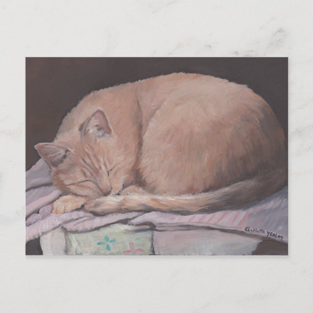 Sleeping Kitty Cat Art Postcard (Front)