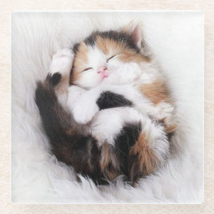 Sleeping Kitty Cat Coaster