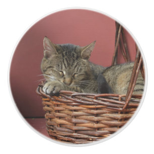 Sleeping Kitty Ceramic Knob