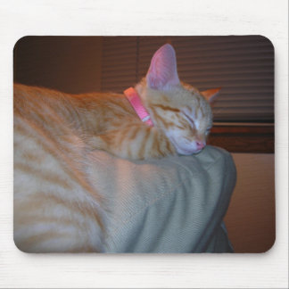 Sleeping Kitty Mouse Mat