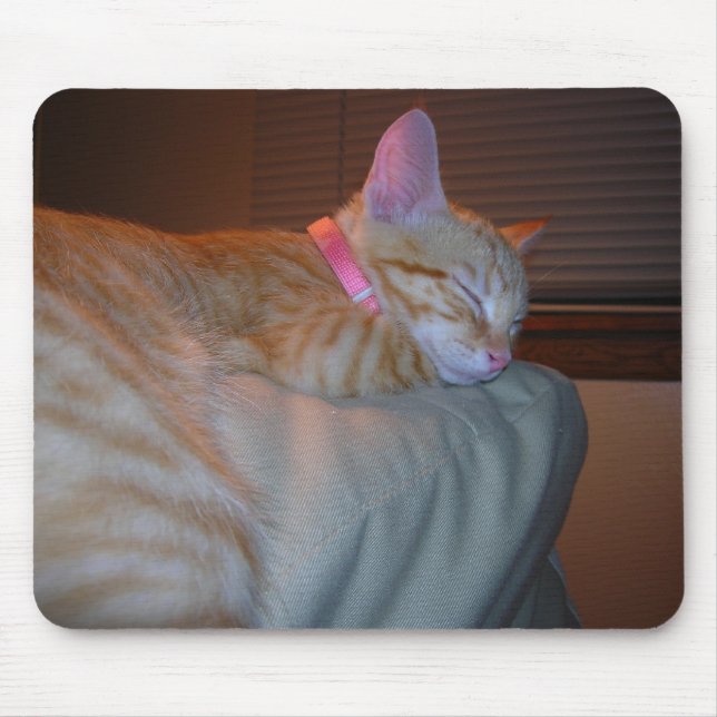 Sleeping Kitty Mouse Mat (Front)