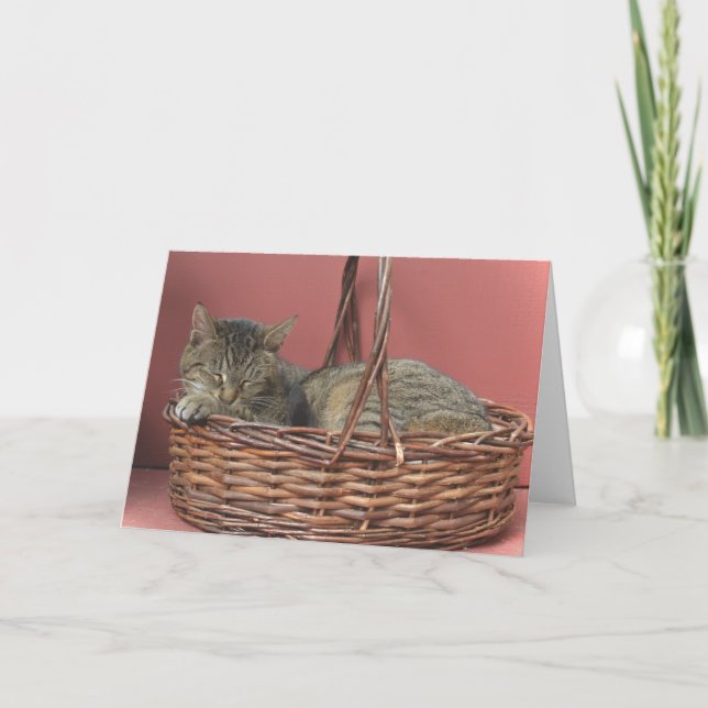 Sleeping Kitty Note Card (Front)