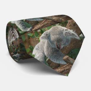 Sleeping Koala Bear Tie