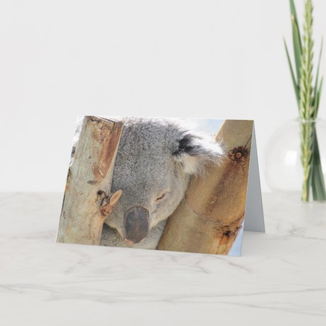 Sleeping Koala Greeting Card (Front)