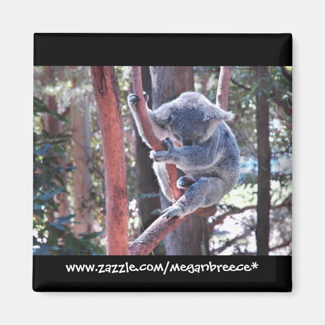 Sleeping Koala Magnet (Front)