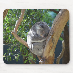 Sleeping Koala Photo Mouse Mat