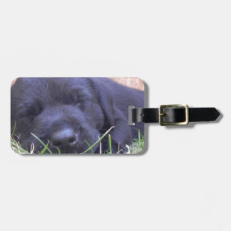 Sleeping Labrador Puppy Luggage Tag