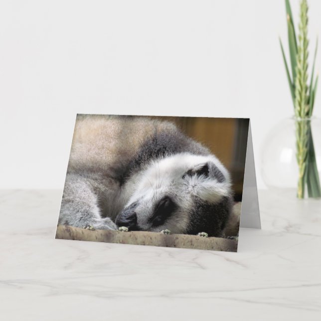 Sleeping Lemur Greeting Card (Front)