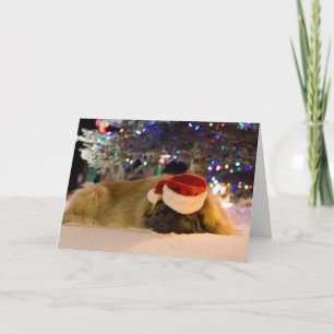 Sleeping Leonberger Christmas card