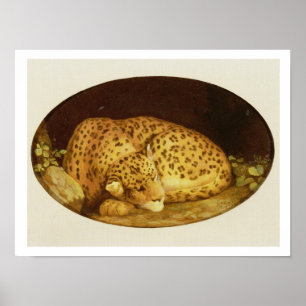 Sleeping Leopard, 1777 (enamel on biscuit Poster