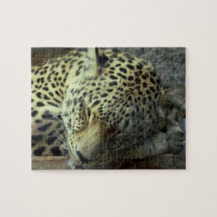 Sleeping Leopard Jigsaw Puzzle