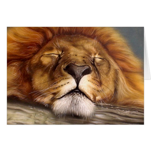 Sleeping Lion (Front Horizontal)