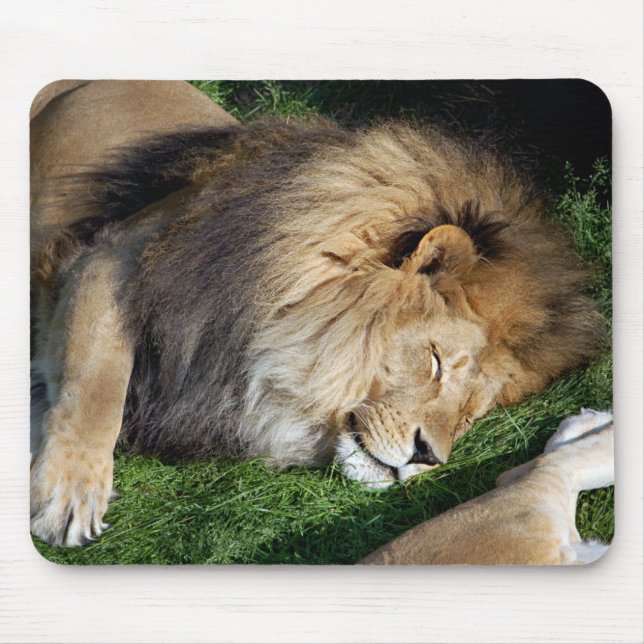 Sleeping Lion Mousepad (Front)