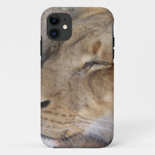 Sleeping Lioness iPhone 11 Case