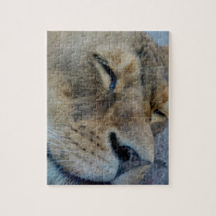 Sleeping Lioness Jigsaw Puzzle
