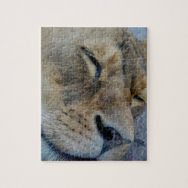 Sleeping Lioness Jigsaw Puzzle (Vertical)