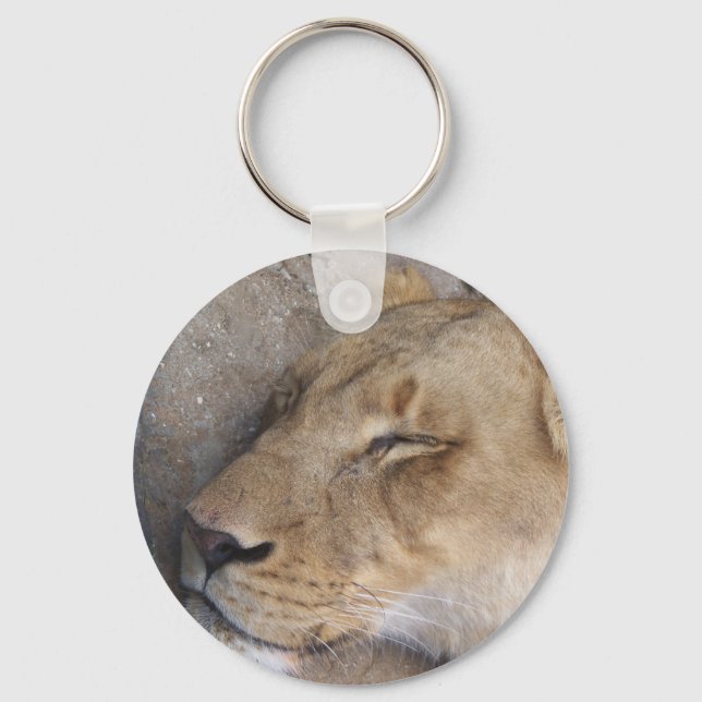 Sleeping Lioness Key Ring (Front)