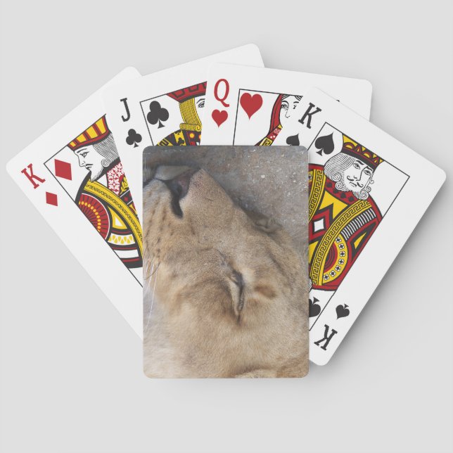 Sleeping Lioness Playing Cards (Back)