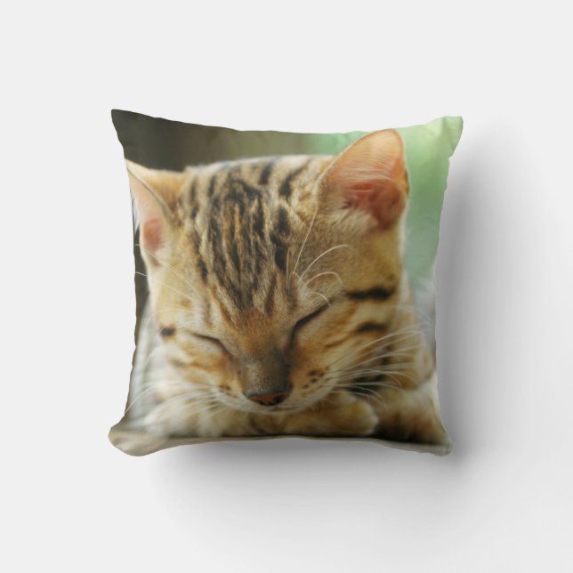 Sleeping Little Baby Kitty Cushion (Front)