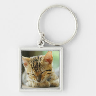 Sleeping Little Baby Kitty Key Ring