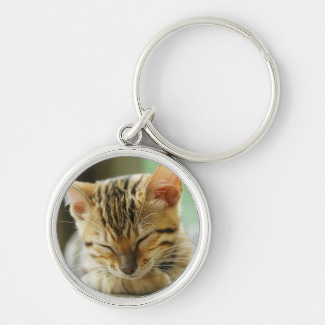 Sleeping Little Baby Kitty Key Ring (Front)