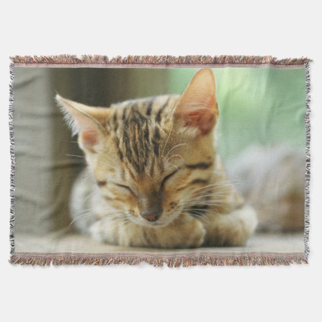 Sleeping Little Baby Kitty Throw Blanket (Front)
