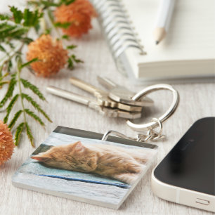 Sleeping Longhaired Ginger Cat Key Ring