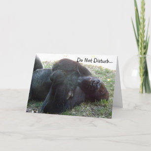 Sleeping Lowland Gorilla Do Not Disturb Card