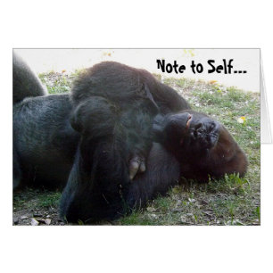 Sleeping Lowland Gorilla Hangover Never Drink