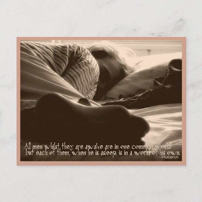 Sleeping men Quote Postcard (Front)