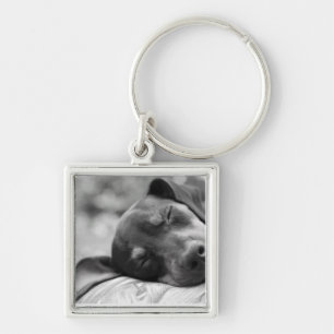Sleeping Miniature Pinscher dog Key Ring