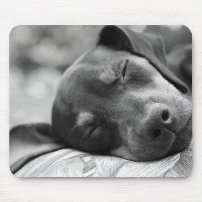 Sleeping Miniature Pinscher dog Mouse Mat (Front)