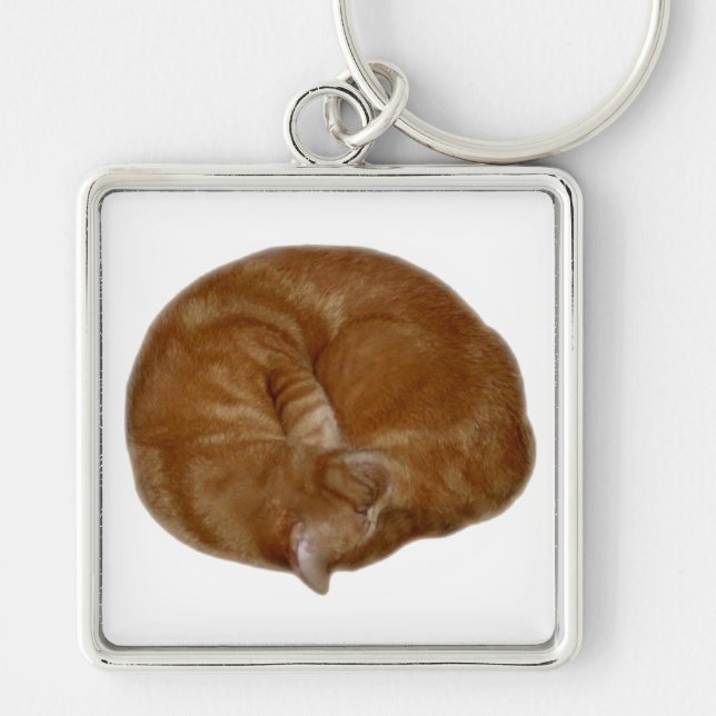 Sleeping Orange Cat Key Ring (Front)