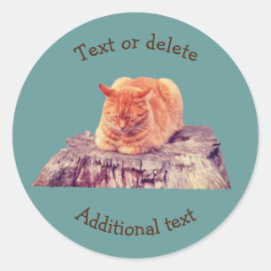 Sleeping Orange Tabby Cat Animal Personalised Classic Round Sticker