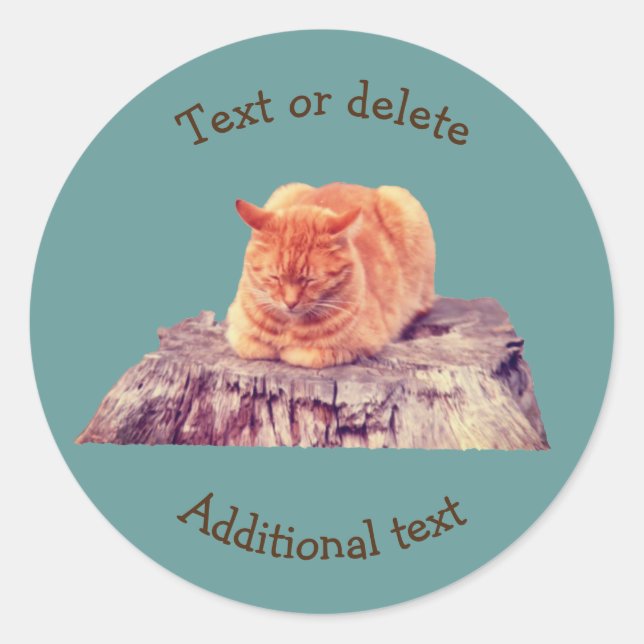 Sleeping Orange Tabby Cat Animal Personalised Classic Round Sticker (Front)