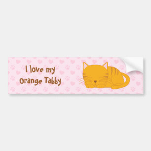 Sleeping Orange Tabby Cat Bumper Sticker