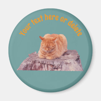 Sleeping Orange Tabby Cat Personalised Magnet