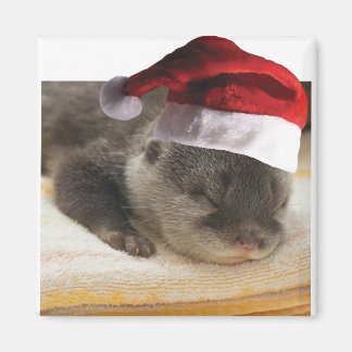 Sleeping-Otter Magnet