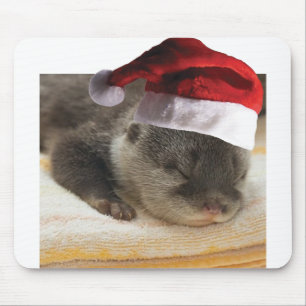 Sleeping-Otter Mouse Mat