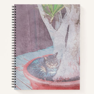 sleeping outdoor cat notebook