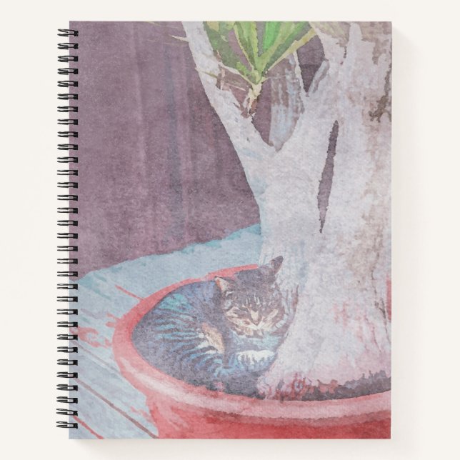 sleeping outdoor cat notebook (Front)