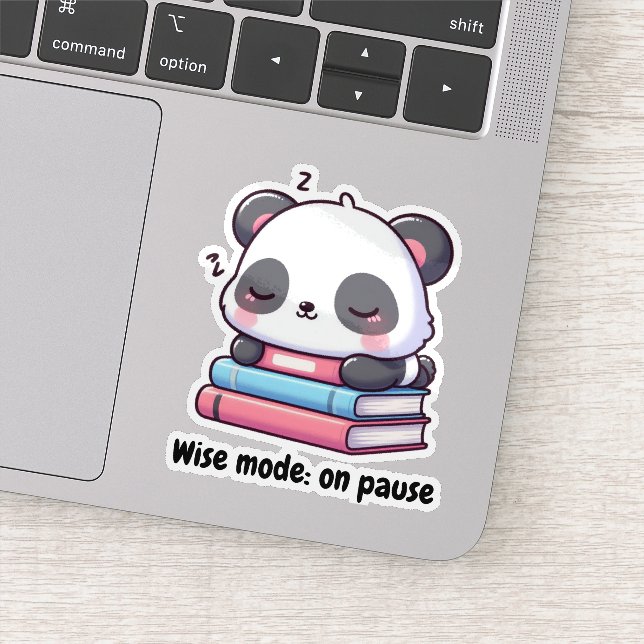 Sleeping Panda (Detail)