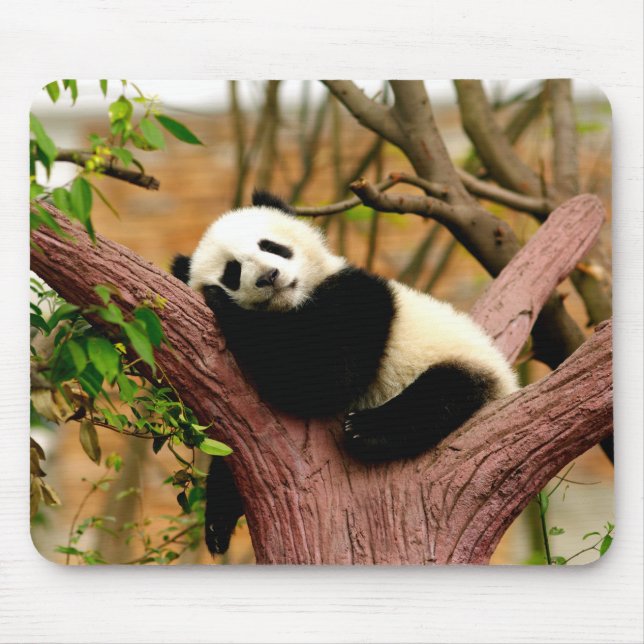 Sleeping Panda Baby Mouse Pad (Front)