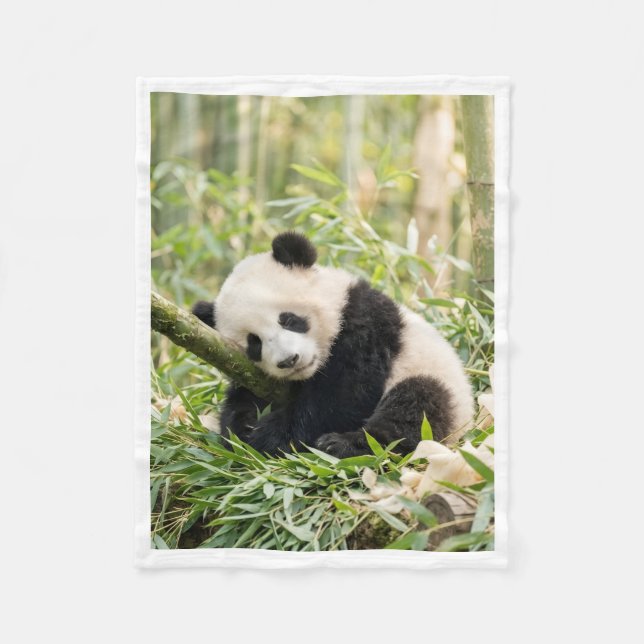 Sleeping Panda in Bamboo Blanket (Front)