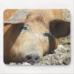 "Sleeping Pig" Mousepad