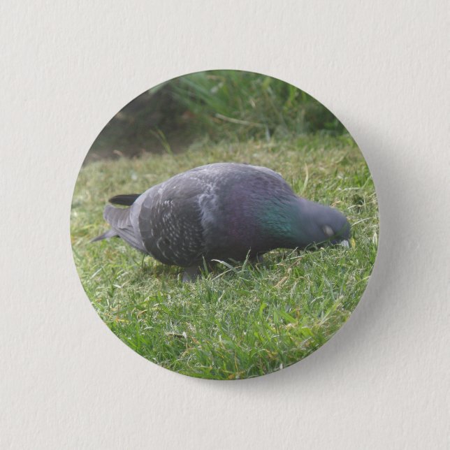 Sleeping Pigeon Button (Front)