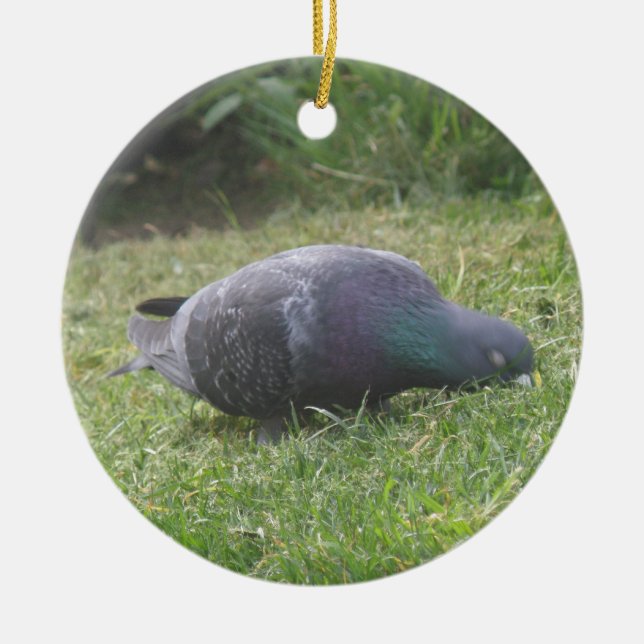 Sleeping Pigeon Custom Birthday Ceramic Tree Decoration (Front)